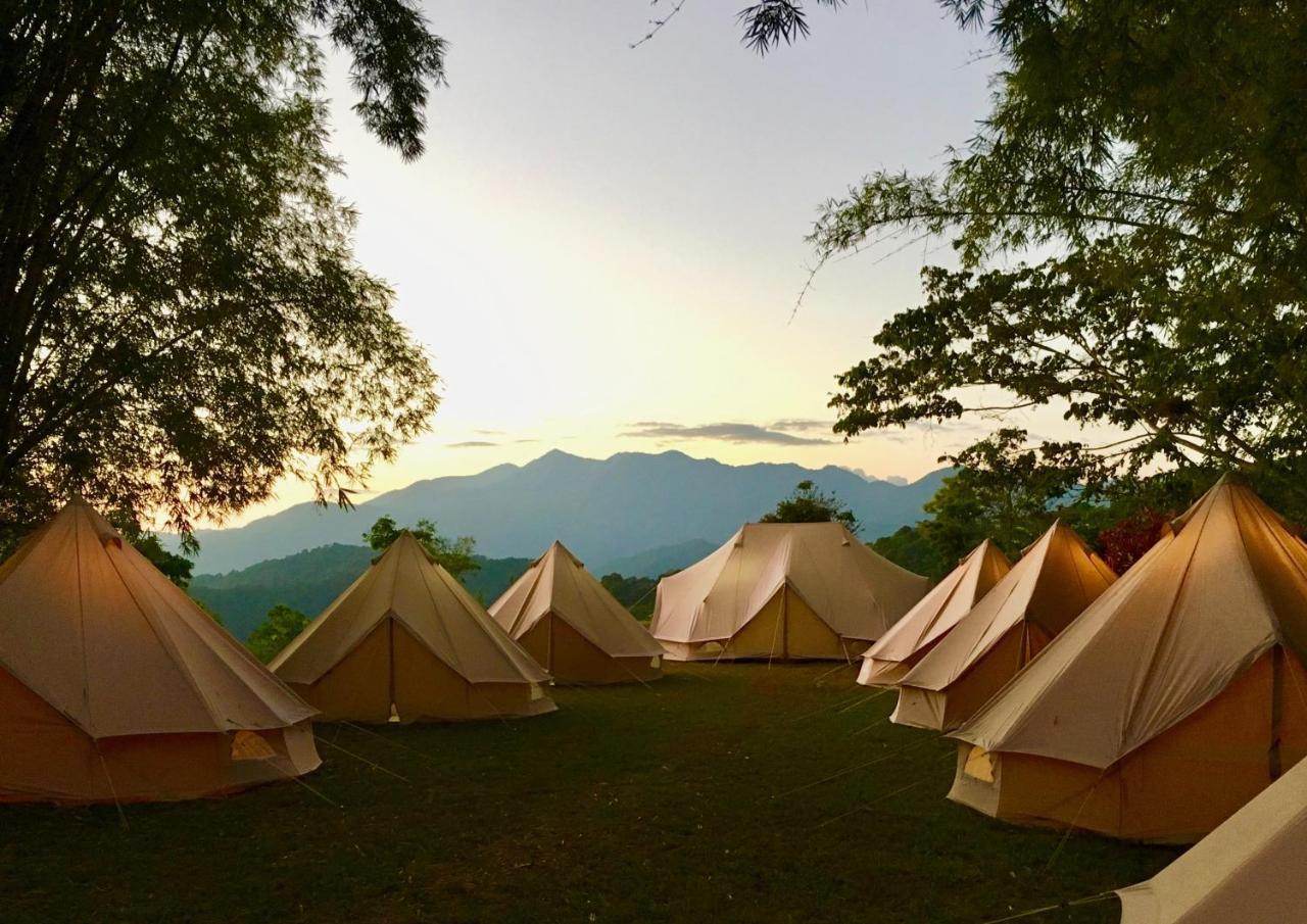 Glamping Finca Margaritas Pluma Hidalgo Exteriér fotografie